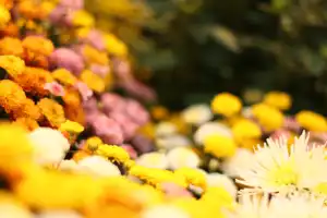 2025-10-00 Osaka, Japan - Osaka (73).webp